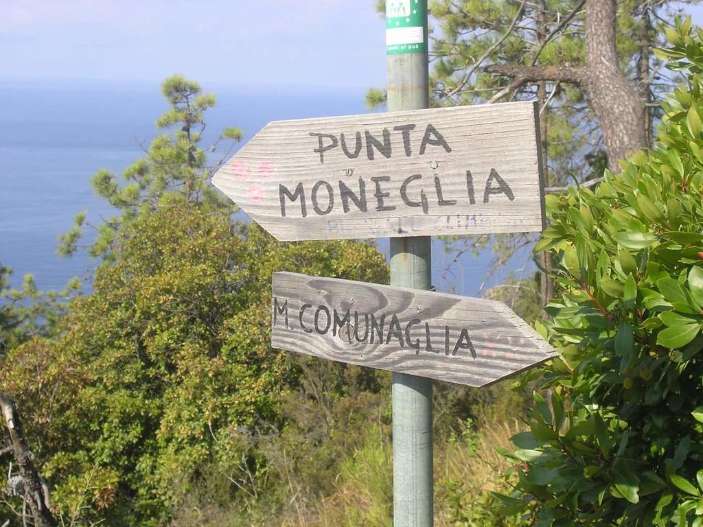 Venino Moneglia