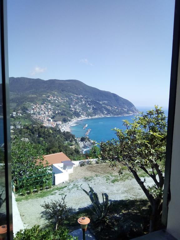 Venino Moneglia