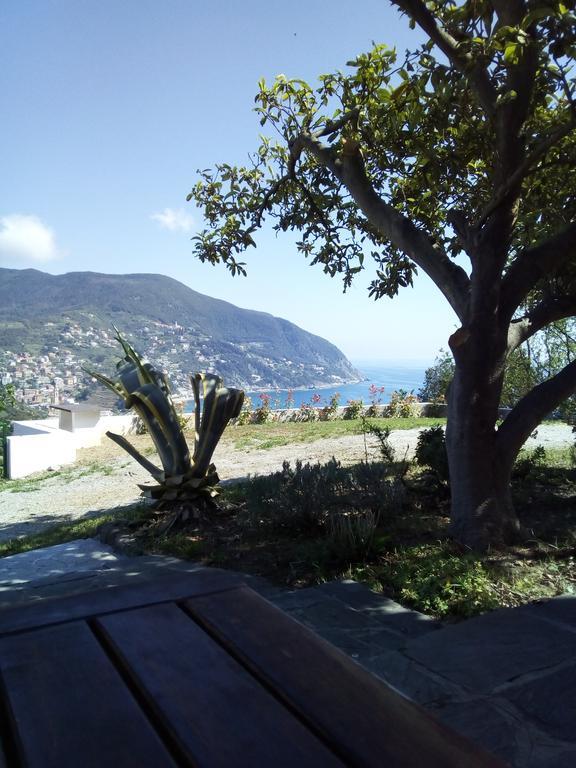 Vakantiehuis Venino Moneglia
