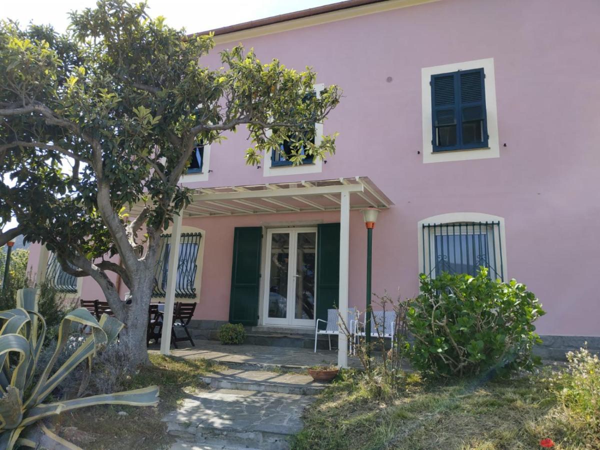 Venino Moneglia