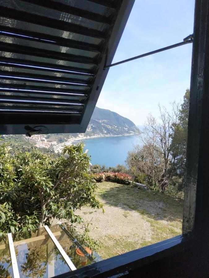 Venino *