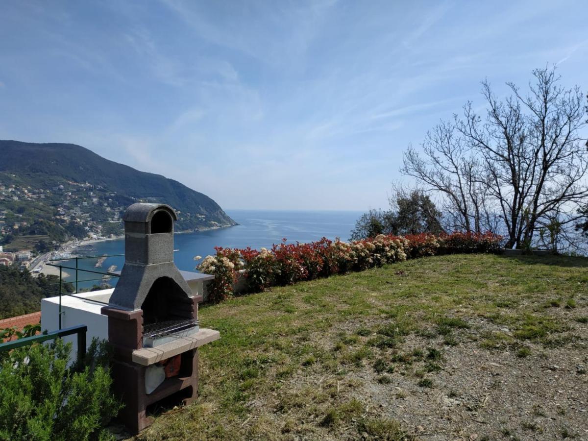 Venino